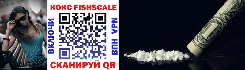 Cocaine Fish Scale  ОМГ ОМГ ТОР  Билибино 