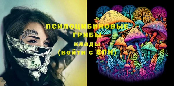 гидропоника Балабаново