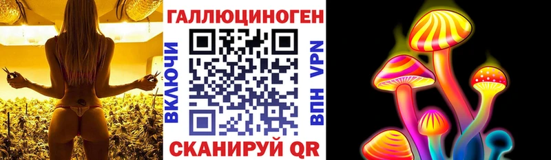 Псилоцибиновые грибы GOLDEN TEACHER  это телеграм  Билибино  наркота  mega ССЫЛКА 